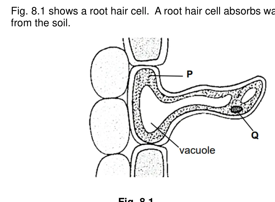 Diagram for question B8