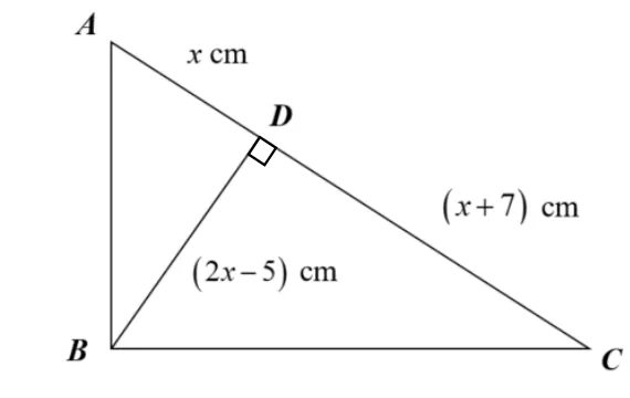 Triangle ABC with D on straight line ADC, AD labelled x cm, DC labelled x+7 cm, BD labelled 2x-5 cm, and a right angle marked at D between BD and DC